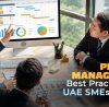 project management consulting Dubai